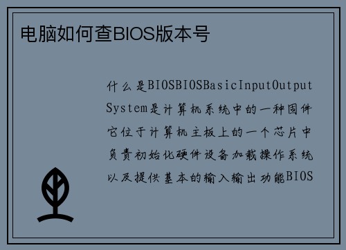 电脑如何查BIOS版本号